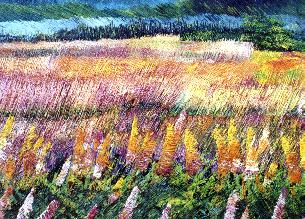 (c) cannes en fleurs